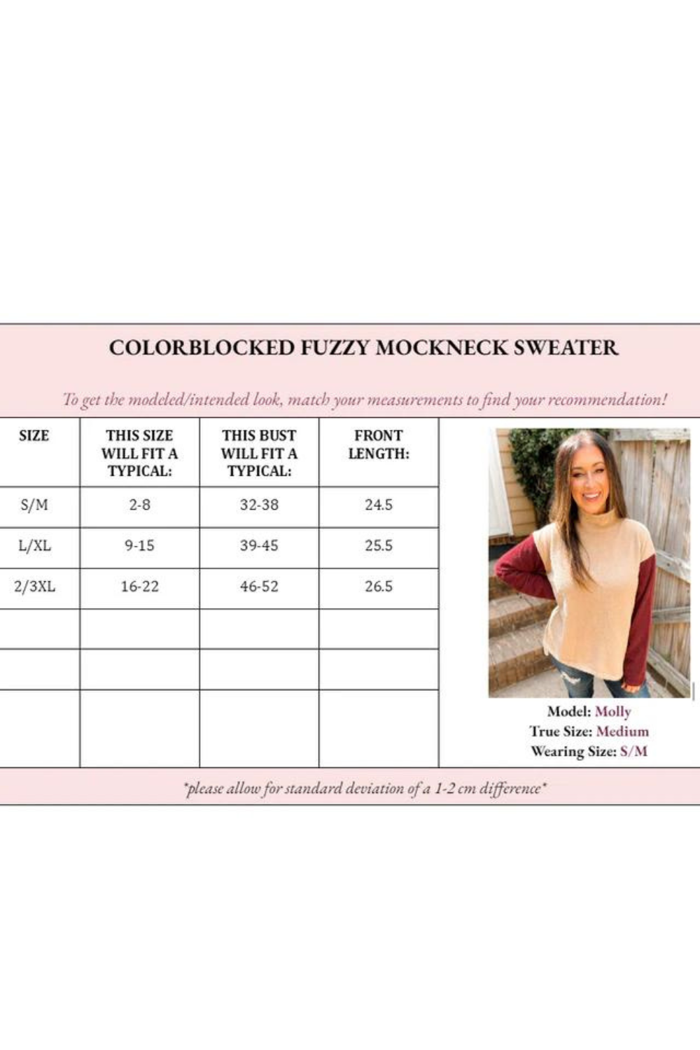 Collette Colorblock Fuzzy Mockneck Sweater
