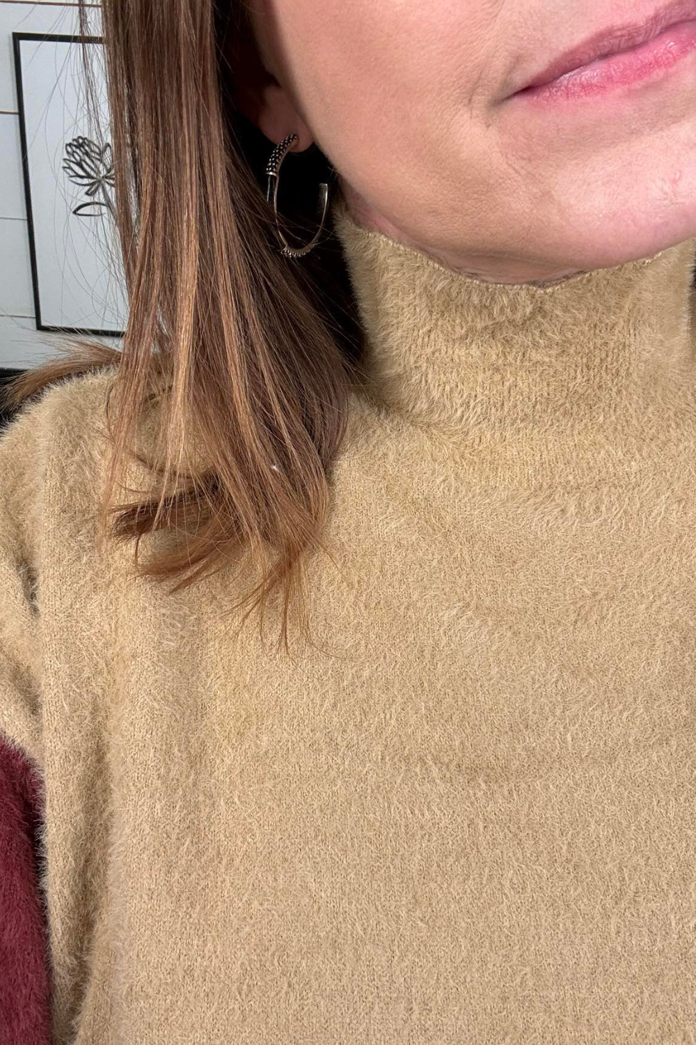 Collette Colorblock Fuzzy Mockneck Sweater